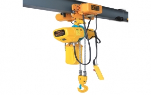 2噸單速環(huán)鏈電動(dòng)葫蘆帶遙控嗎？